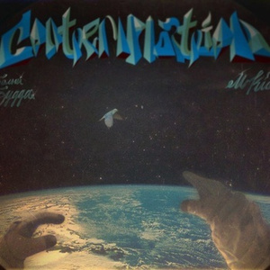 把鸡巴塞入小穴里操起来
